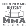 MMA