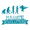 Karate evolution