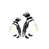Pinguinpärchen, Liebe, Paar, Beziehungsleben