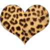 herz Leopard Leo