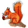 Squirrel Christmas