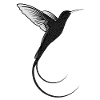 Hummingbird design black sand