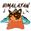 Himalayan Cat