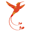 Couleurs de feu colibri