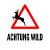 Attention wild deer