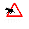 Attention wild deer