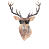 Hunter Cool deer