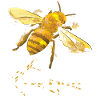 The Bee Guy Shirt Beekeeping  regalo divertente
