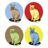 CATS LOVERS