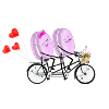Macarons on a two-wheeler
