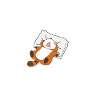 J'suis pas du matin