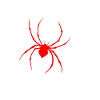 Araignée sur le web