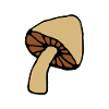 mushroom