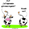 Les vaches