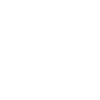 Dental technician master craftsman