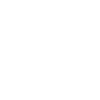 Basketball Evolution