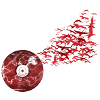 Oiseaux de vinyle