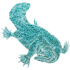 Platypus