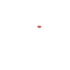 Pocket Samoyed T Shirt
