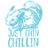 Chinchilla
