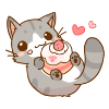 kitten