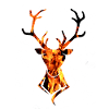 Deer fire flame
