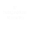 unconditional minimum brain income