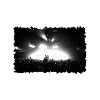 Concert
