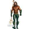 Aquaman Film Aquaman Portrait