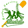 baseball league american