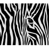 Zebrastreifen / zebra stripes (3c)
