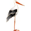 Stork
