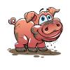 piggy