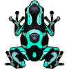 Poison dart frog