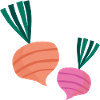 beetroot