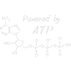 Powered by ATP