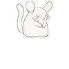 Chinchilla - Chinchillas - Sarkasmus - Sarkastisch