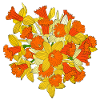 Daffodil Flower Bouquet