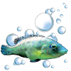 Buntes Aquarienfisch Motiv