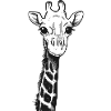 girafe