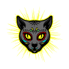 Sugar Cat Skull Mexico