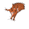 A cute squirrel