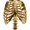 Gold torso
