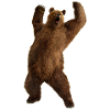 bear PNG23458