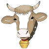 vache