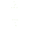 Massage Therapist