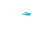 pilot