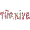Türkiye lettering 106