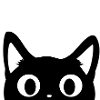 cute black cat