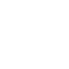 veni vidi vici